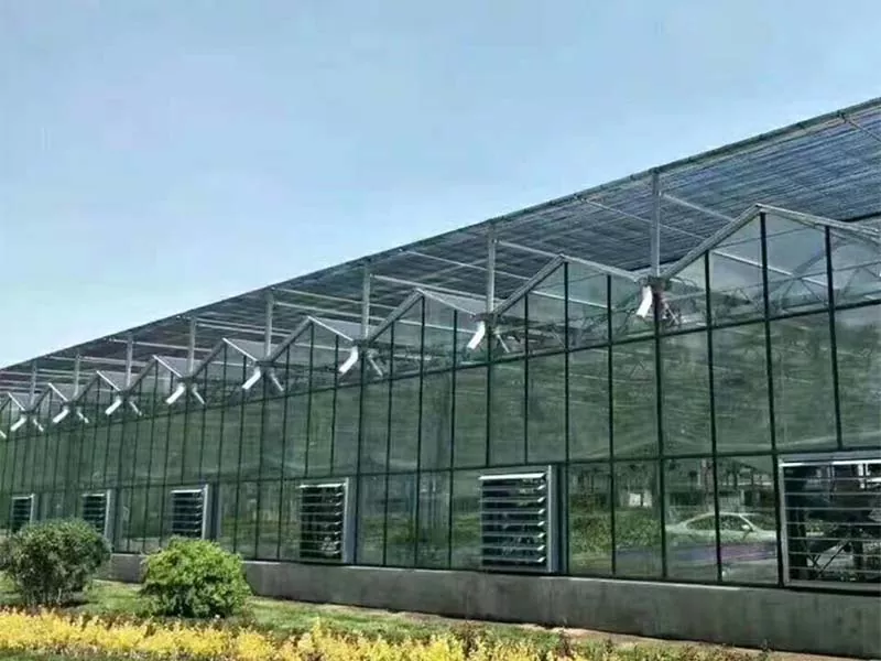 Quels types de cultures peuvent être cultivées dans une ferme verticale en acier?